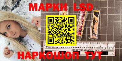 гидра Майкоп