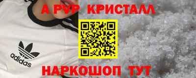 СК Магадан