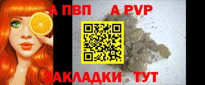 гидра Майкоп