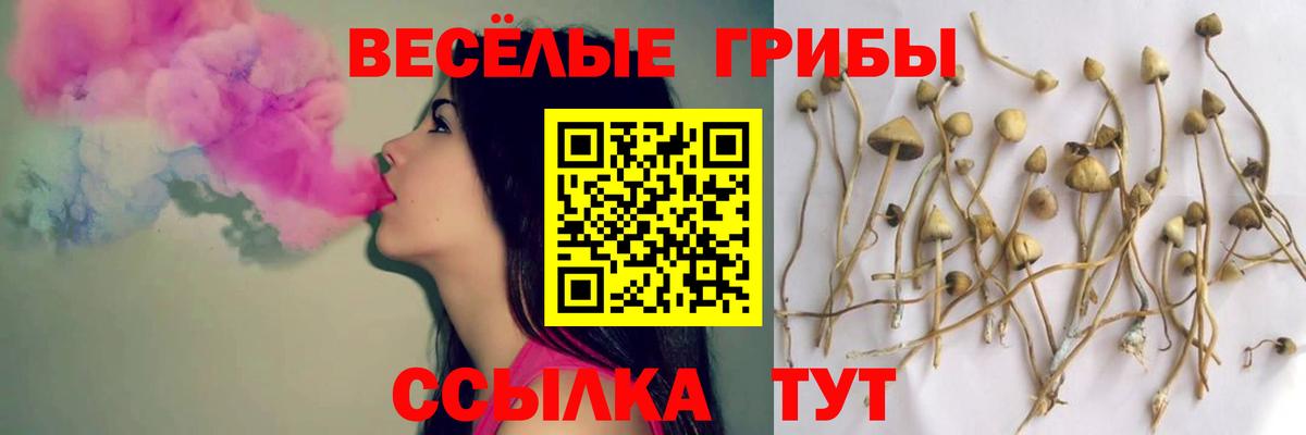Псилоцибиновые грибы MAGIC MUSHROOMS Казань